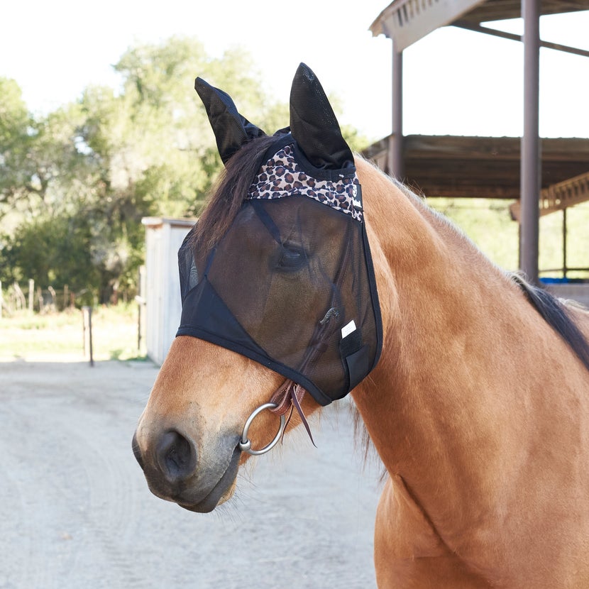 The Cashel Quiet Ride Standard Fly Mask in cheetah on a bridled dun horse. 