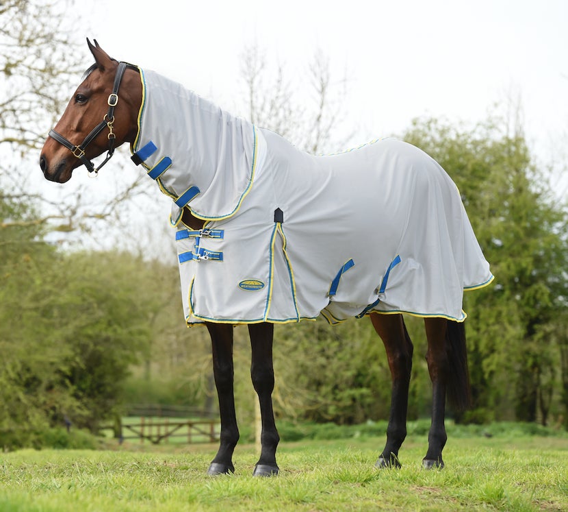 Bay Horse wearing the Weatherbeeta ComfiTec Zephyr Plus Mesh Fly Sheet in a field 
