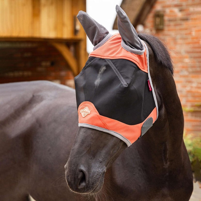 The Lemieux Visor-Tek Fly Mask on a black horse, standing next to a barn. 