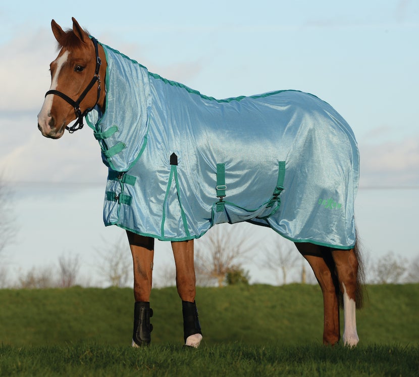 Chesnut horse in a grass field, wearing the Saxon Mesh Combo Neck Fly Sheet in light blue.
