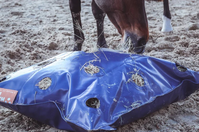 Horse eating from a GG Equine HayPlay Bag XL on the ground. 