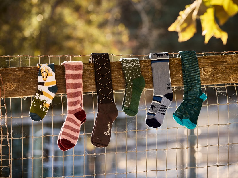 A row of several sock pairs lined up side by side on a fence.