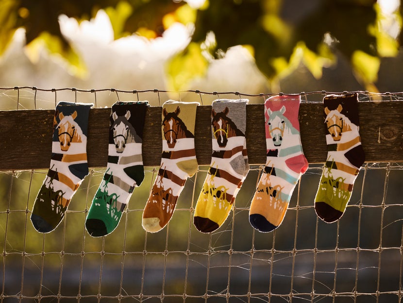 Kelley & Co Adult Crew Socks At The Fence - 6 Pack