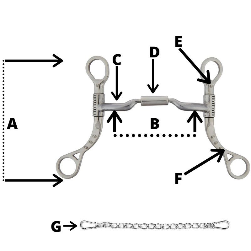 Different Parts of the Horse Bit