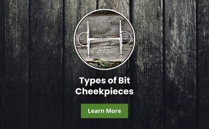 Types of Horse Bit Cheekpieces