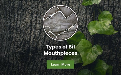 Types of Bit Mouthpieces