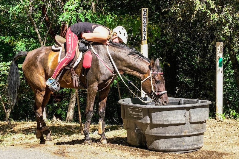 Sanoma leaning over her horse while he drinks water from a trough.