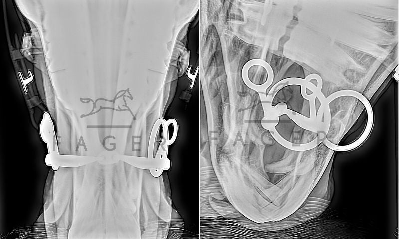 X-Ray of a horses jaw while bitted with a Fager bit