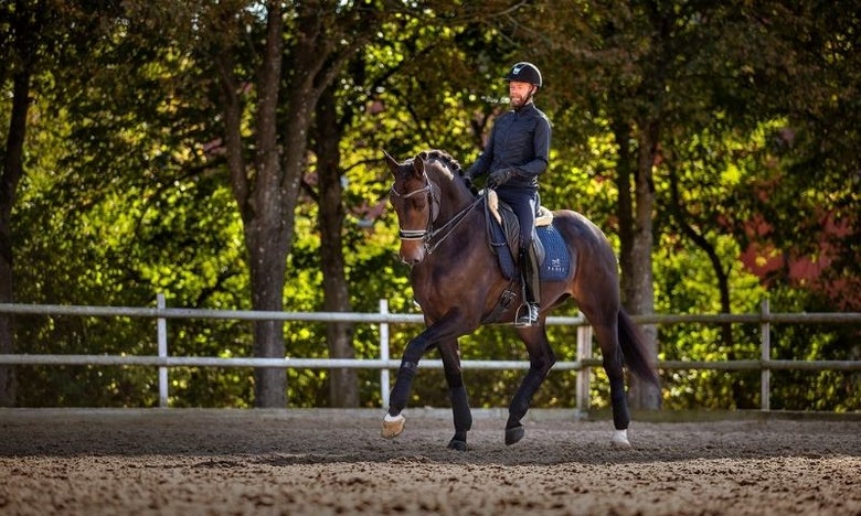 Rider and horse doing dressage in a double bridle 