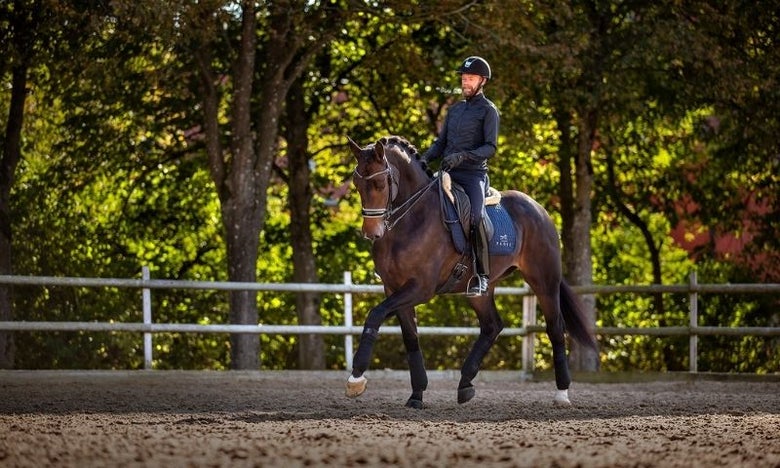 Rider and horse doing dressage in a double bridle