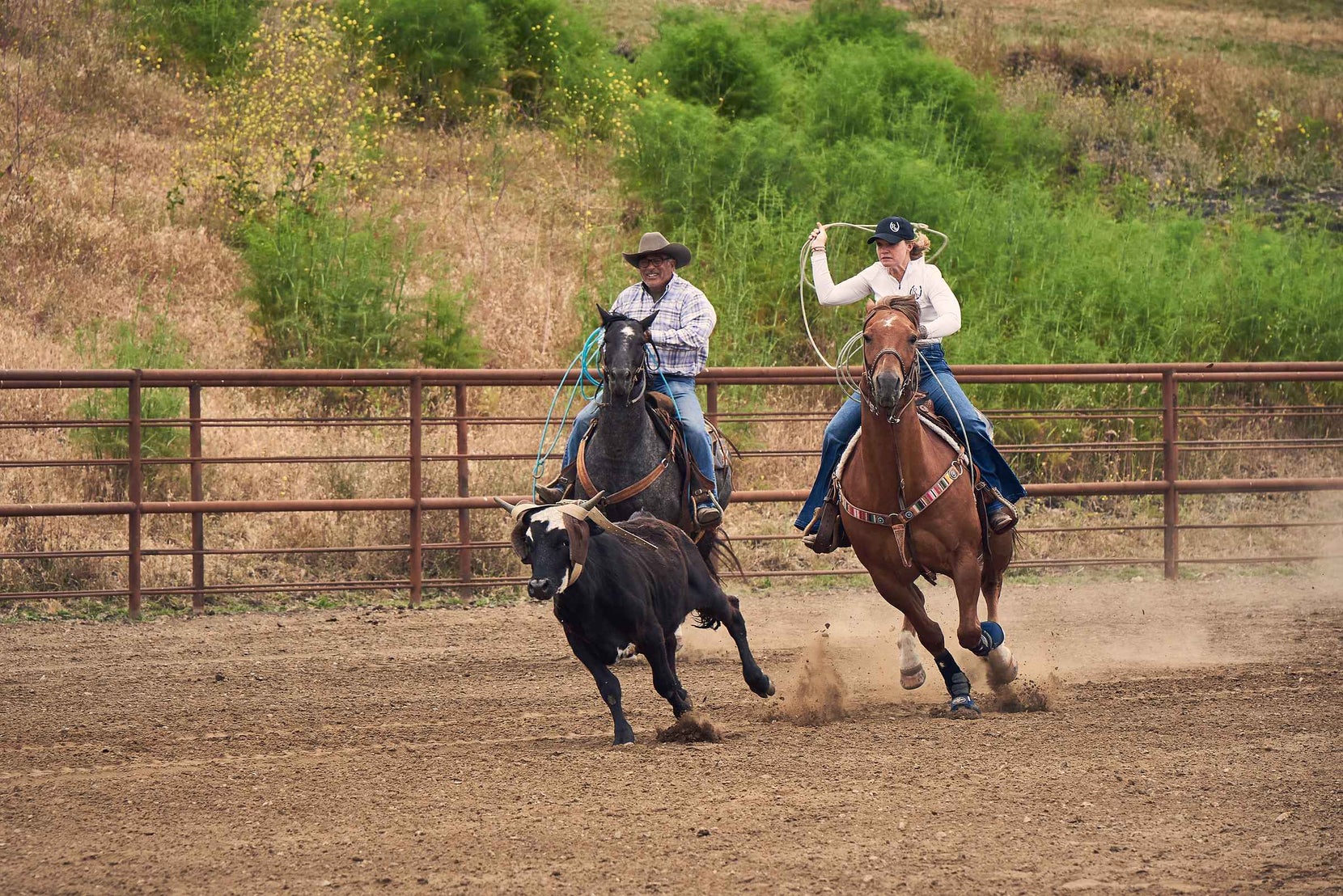 Horseback Riding & Discipline Vocabulary Terms