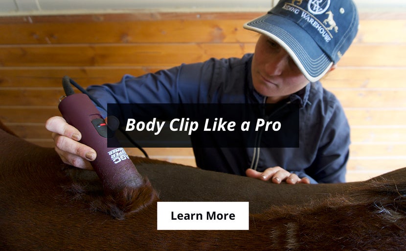 how to body clip your horse