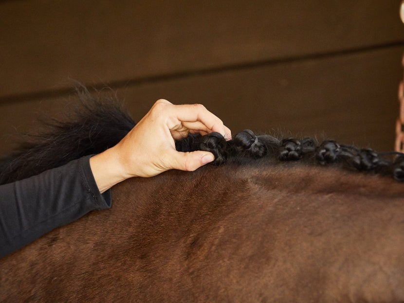 rider braiding a horse by holding a button braid and securing it with a rubber band.