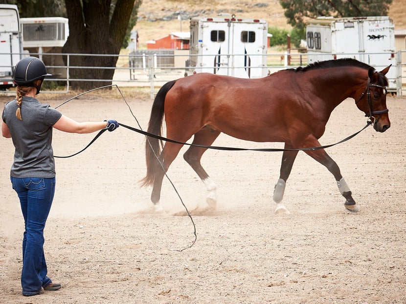 A woman trains her horse how to lunge.