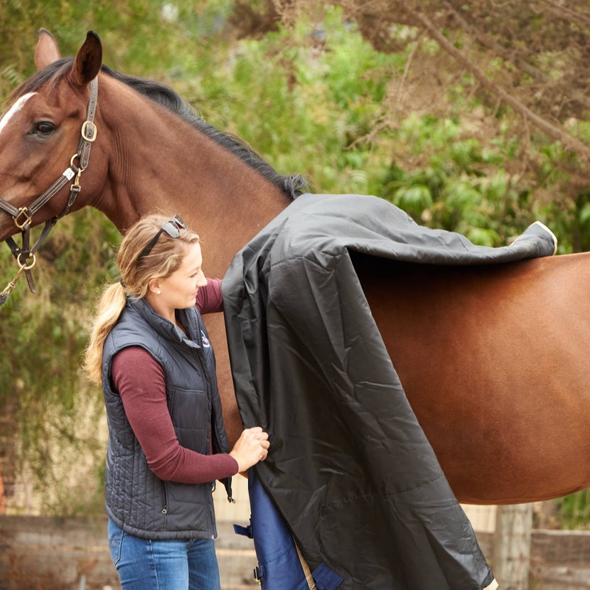A girl safely taking a blanket off her bay horse by folding it toward the wither and then gently pulling it off. Horse is looking back at her with some side eye. 