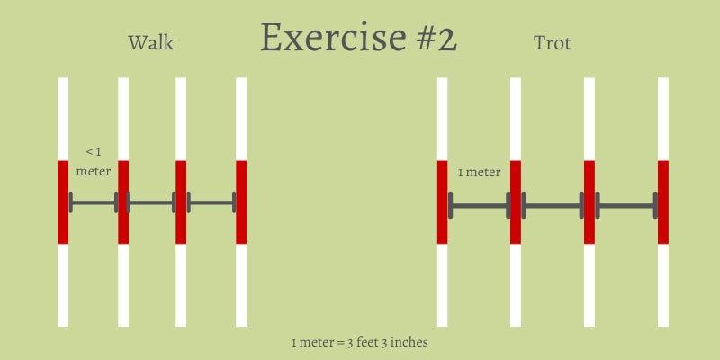 Ground pole exercise #2, a set of 4 consecutive ground poles, shown with distances appropriate for walking and trotting. 