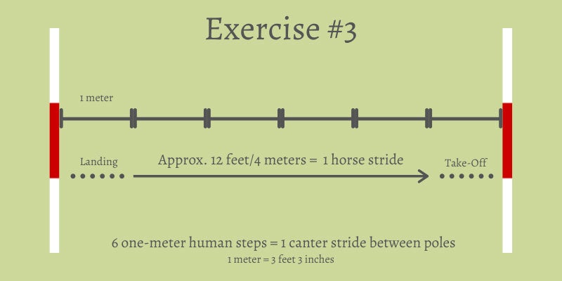 Ground pole exercise #3, two canter poles set with space for a single stride between the poles. 