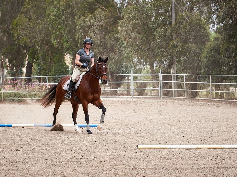 Horse and rider cantering through a set of two ground poles, with multiple strides in between. 