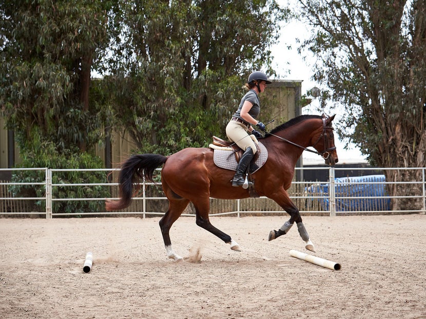 Horse and rider cantering over two consecutive ground poles. 