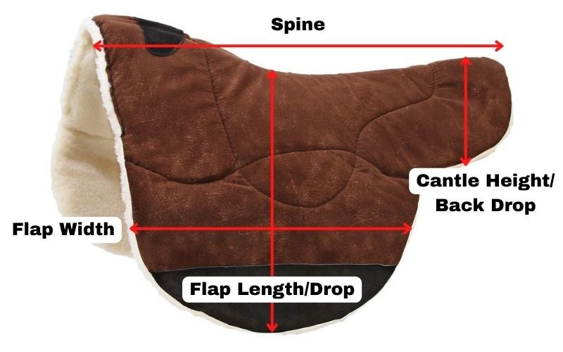 Chart showing where saddle pad measurements are taken. 