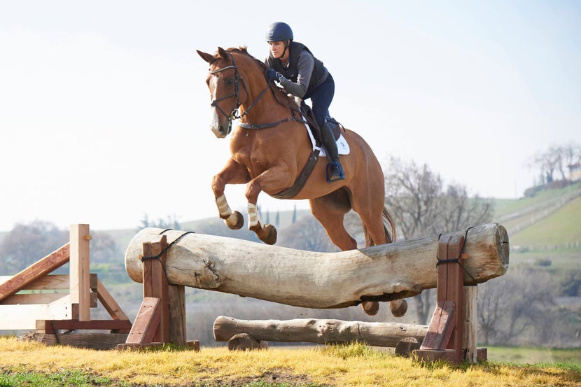 horse and rider jumping over a hanging log on a cross country course