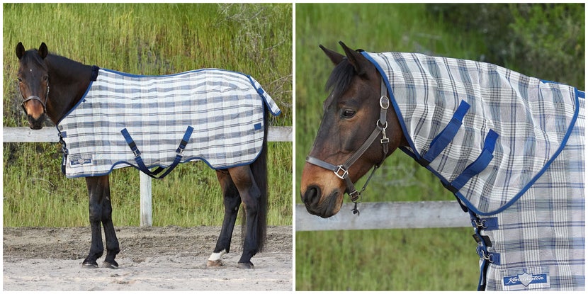 Left to Right: Horse wearing Riding Warehouse Kensington Exclusive Surefit Fly sheet; Horse wearing Riding Warehouse Kensington Exclusive Neck Piece