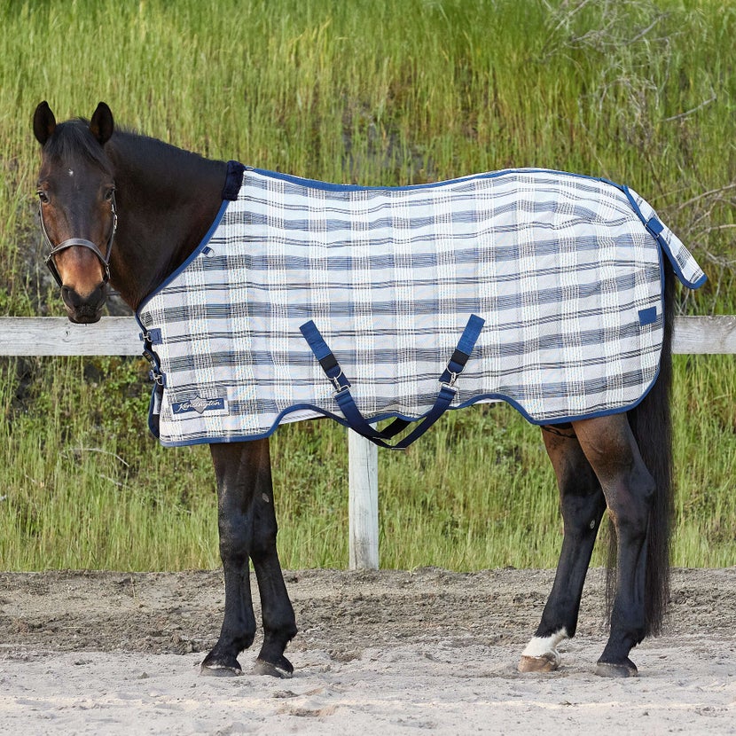 Bay horse standing in a pasture wearing the Kensington SureFit Textilene Protective Fly Sheet.