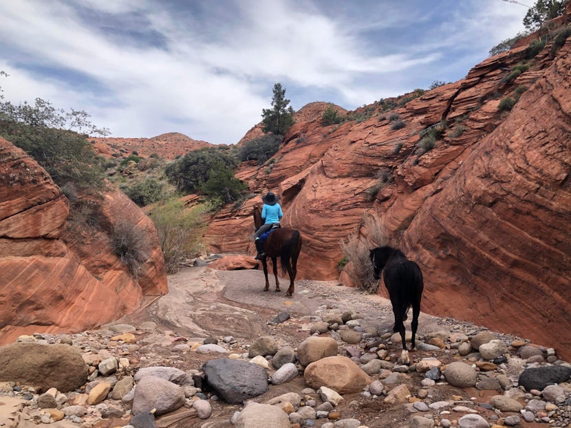Natalie riding over rocks in Utah, with Flash the hackney pony freely following. 