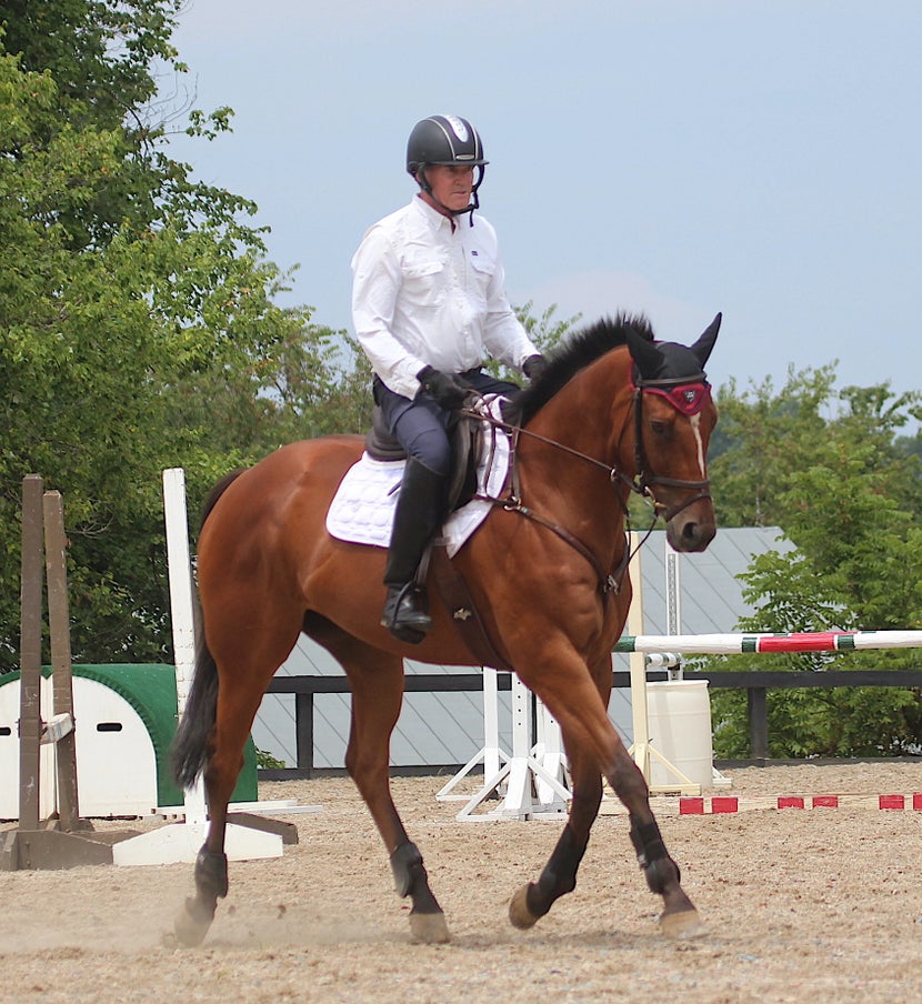 Stephen schooling a bay horse in a show jumping arena 