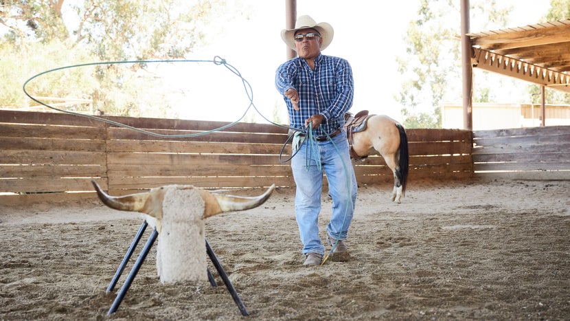 Roper roping a dummy cow
