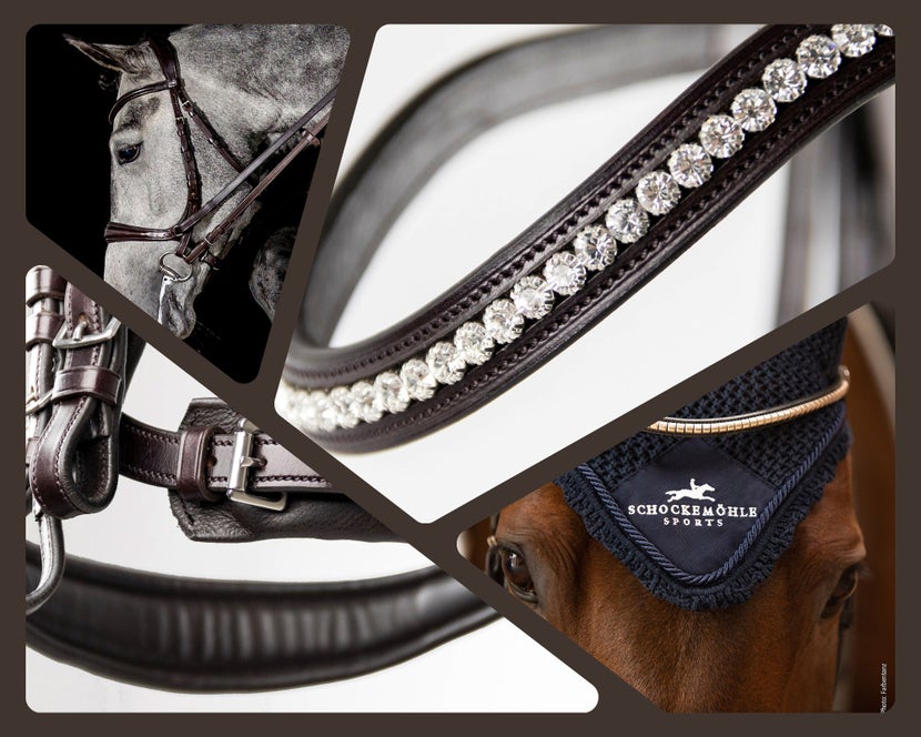 Schockemoehle bridle collage of browband, buckles, ear bonnet, and bridle. 