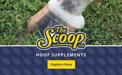 The Scoop on Hoof Supplements