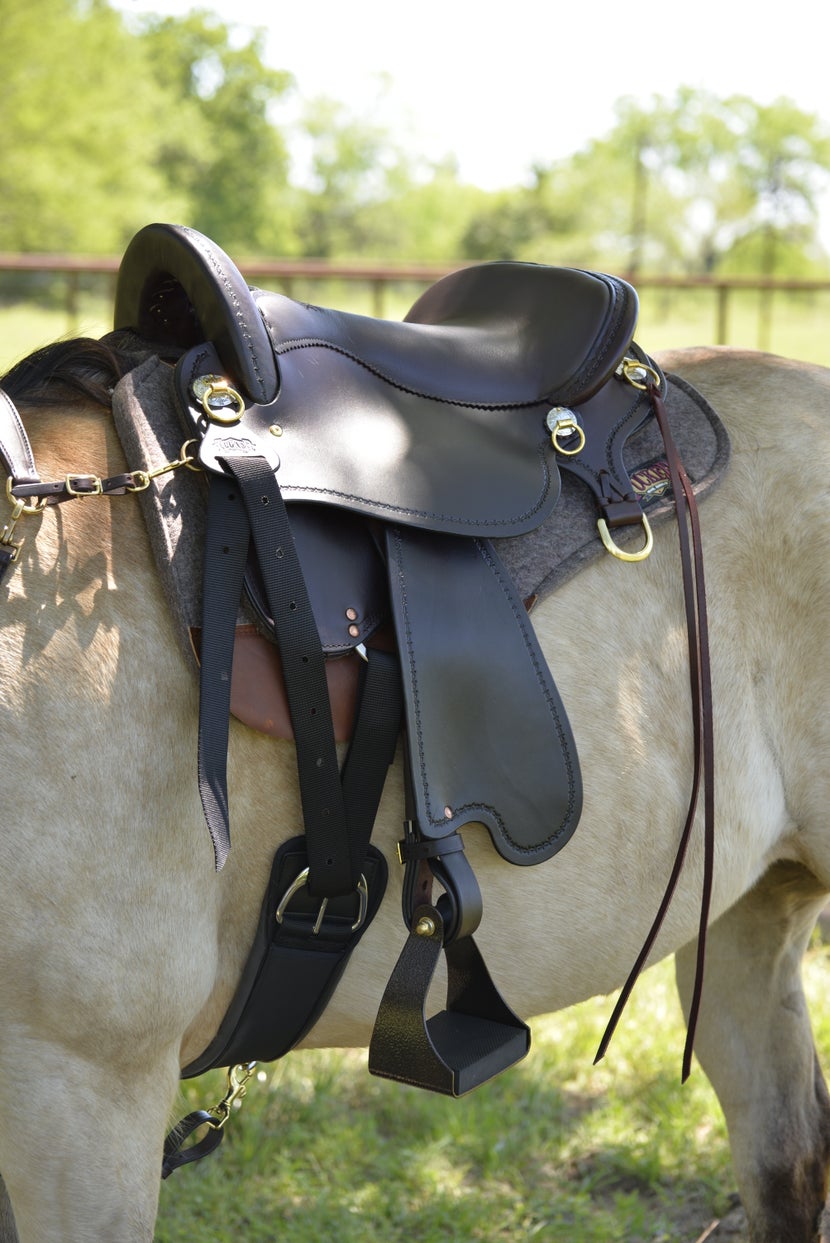 Horse standing with Tucker Endurance Saddle on