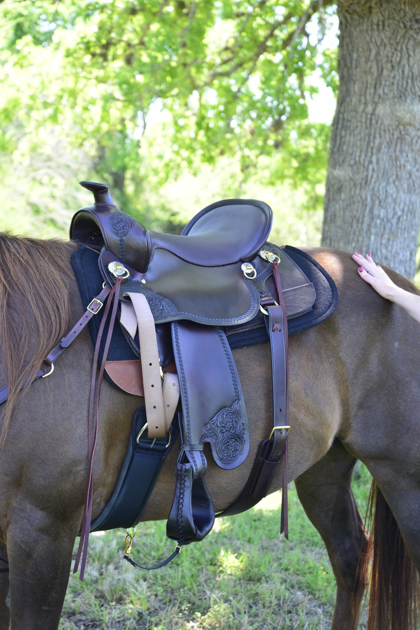 Horse standing with Tucker High Plains Western Saddle on