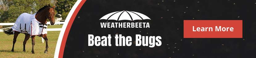 WeatherBeeta Beat the Bugs: Fly Collection