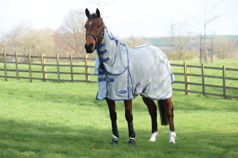 Horse standing in a field wearing a detach-a-neck fly sheet