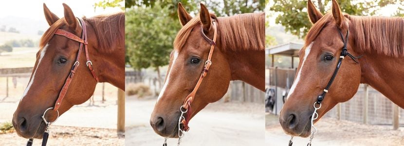From Left to Right: Browband, Sliding Ear, and Split Ear Headstall