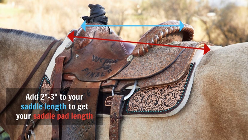 Diagram showing proper saddle pad length in comparison to saddle length. A proper fitting saddle pad should be 2-3 inches longer than the saddle length. 