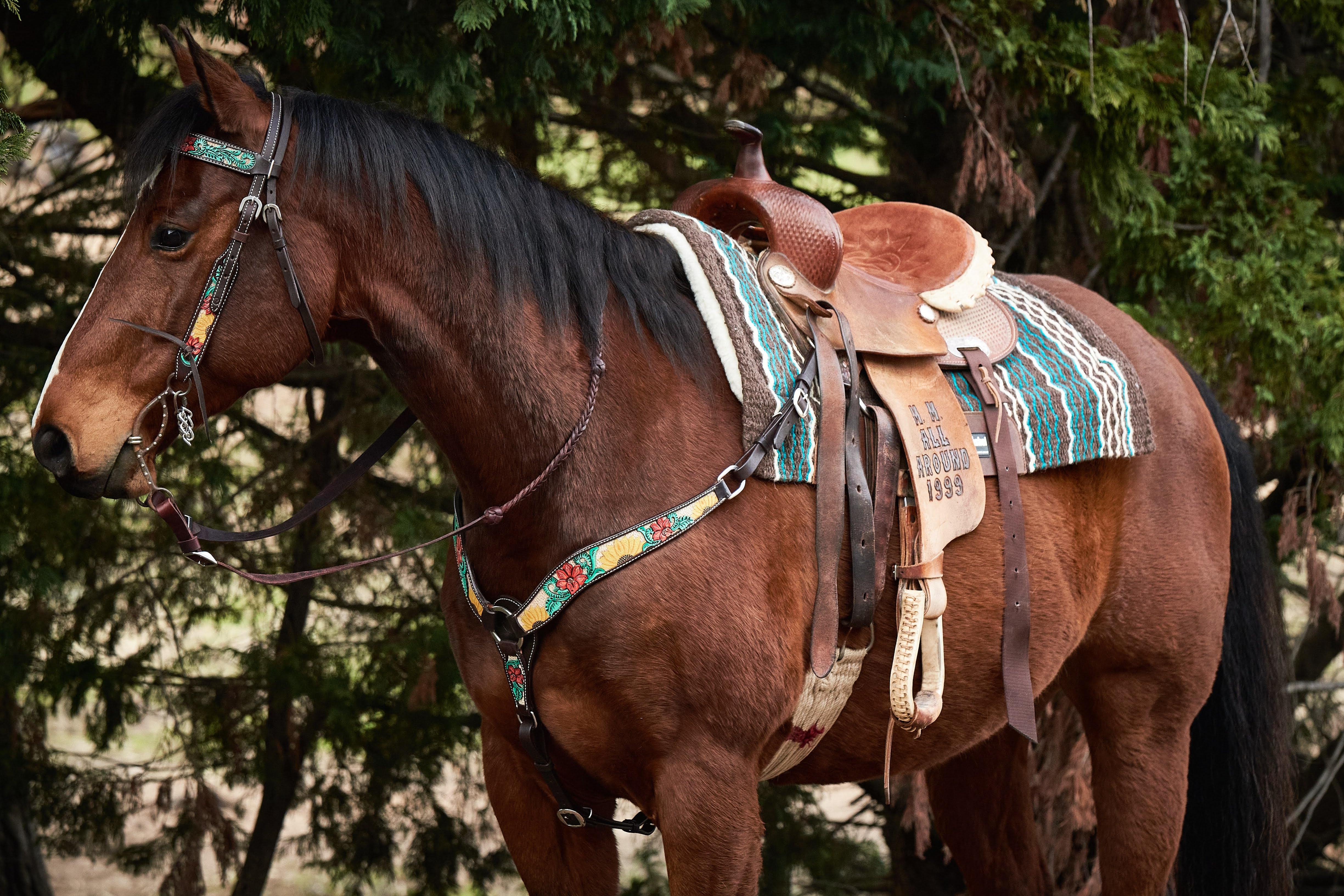 Horse & Rider Peltro Inglese Tie Tac/Tack-xttta 29 
