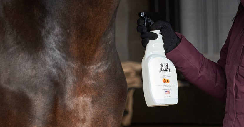 Woman using a coat spray to groom her horse in the cold.