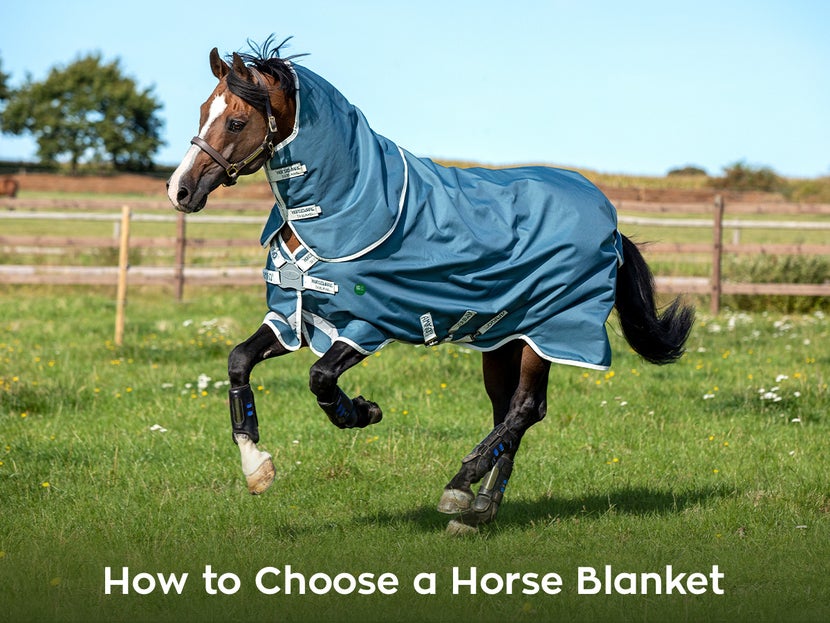 Learn how to choose a horse blanket