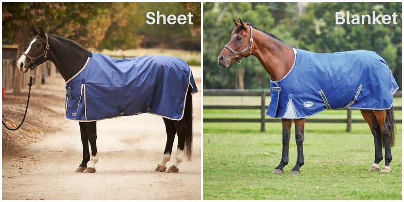 comparison of two horses, one wearing a no fill sheet and the other wearing a blanket with fill. Both are waterproof. 