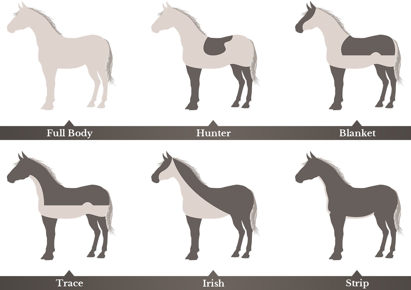 A diagram of different horse hair clipping patterns, including full body, hunter, blanket, trace, Irish, and strip clips.