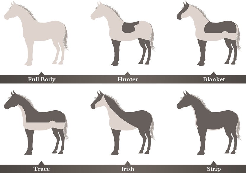horse clipping patterns diagram