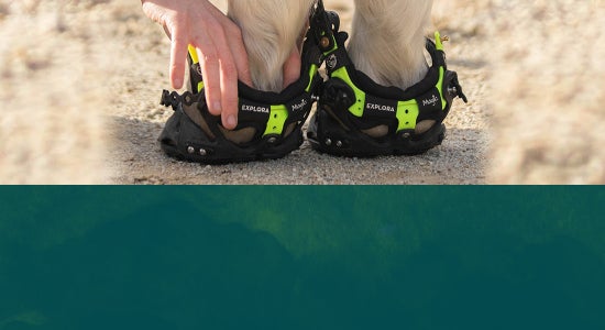 How to Choose the Right Hoof Boots for Your Horse
