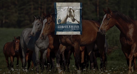 Omega Horseshine Supplement Review