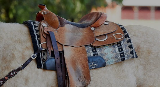 Western Saddles - A Complete Guide